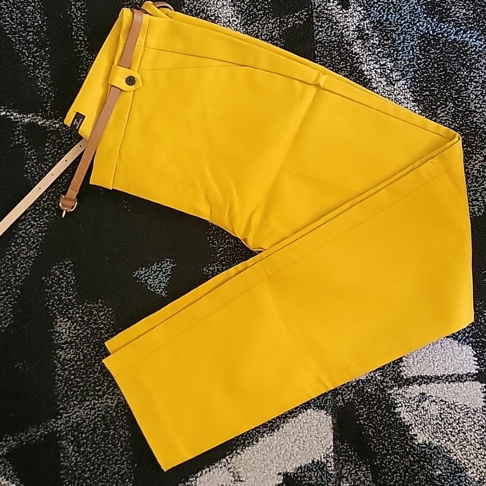 Zara Slim fit Pant with belt, New, Size 4